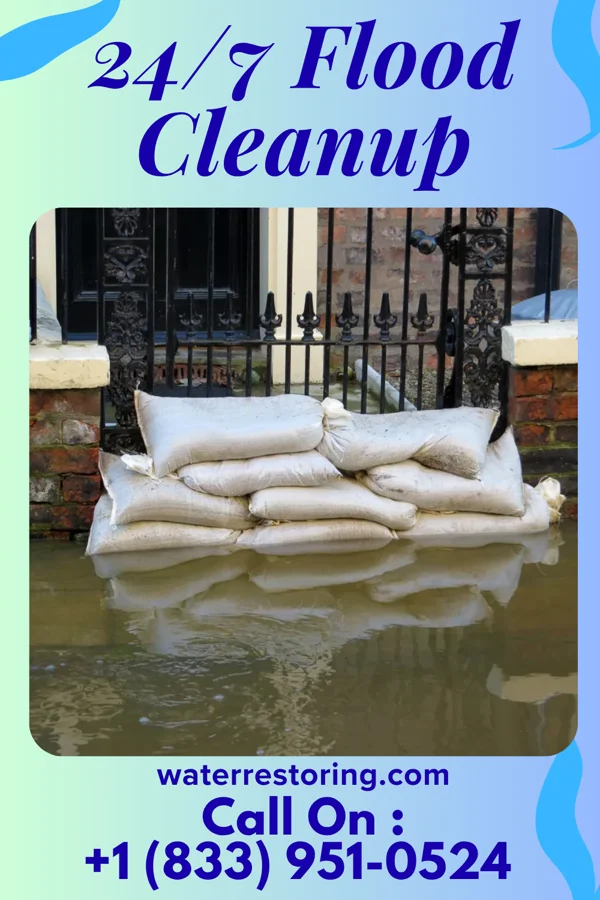 24/7 Flood Cleanup in Golden Triangle, NJ