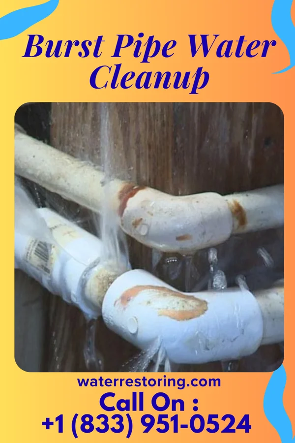 Burst Pipe Water Cleanup in Golden Triangle, NJ