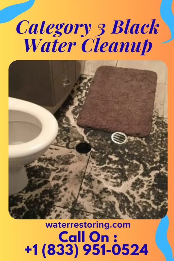 Category 3 Black Water Cleanup in Golden Triangle, NJ