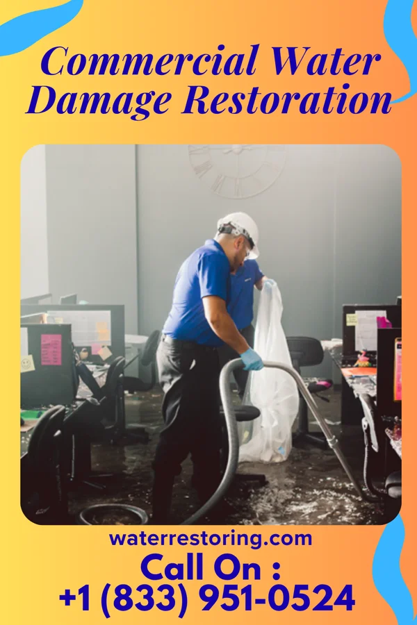 Commercial Water Damage Restoration in Golden Triangle, NJ