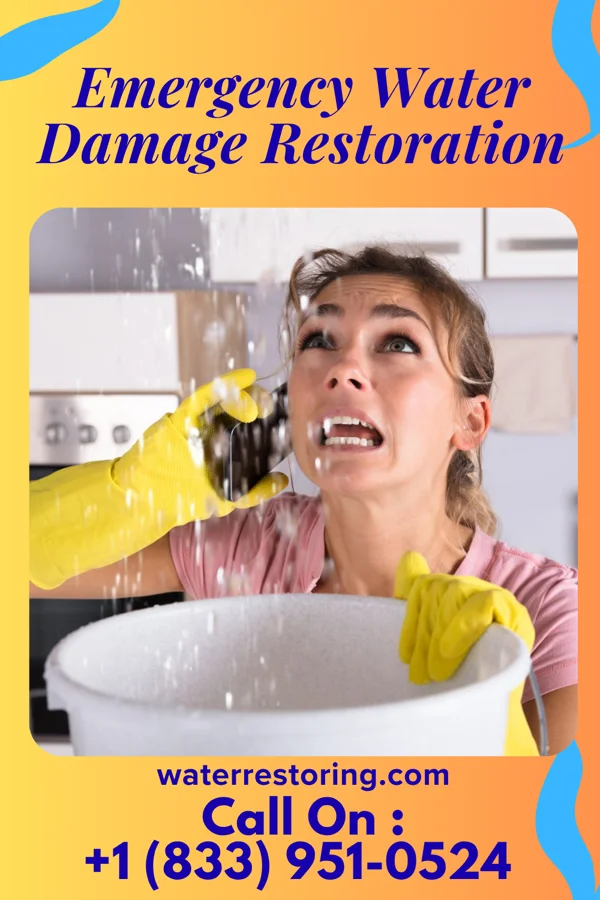 Emergency Water Damage Restoration in Golden Triangle, NJ