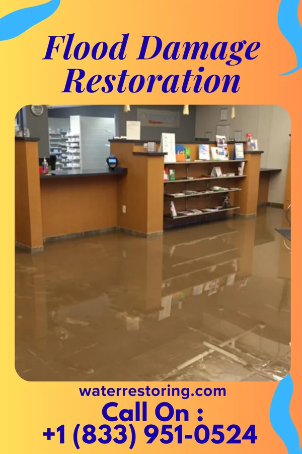 Flood Damage Restoration in Golden Triangle, NJ