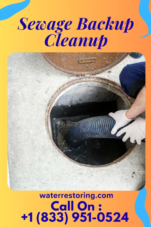 Sewage Backup Cleanup in Golden Triangle, NJ