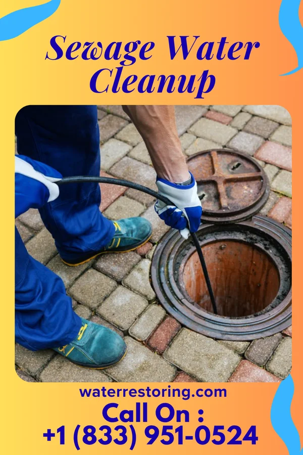 Sewage Water Cleanup in Golden Triangle, NJ
