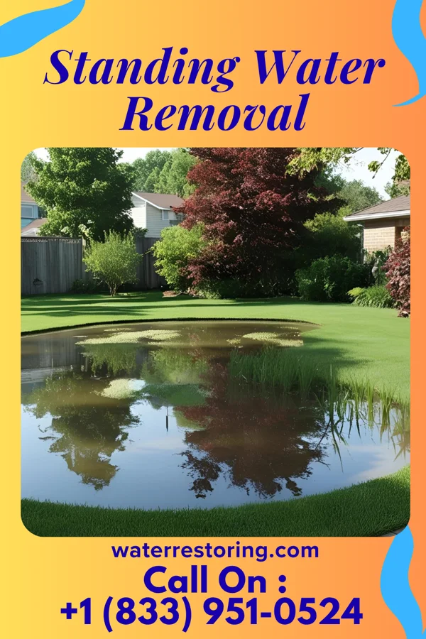 Standing Water Removal in Golden Triangle, NJ